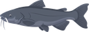 Catfish