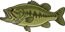 Largemouth
