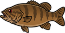 Smallmouth