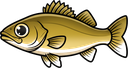 Walleye